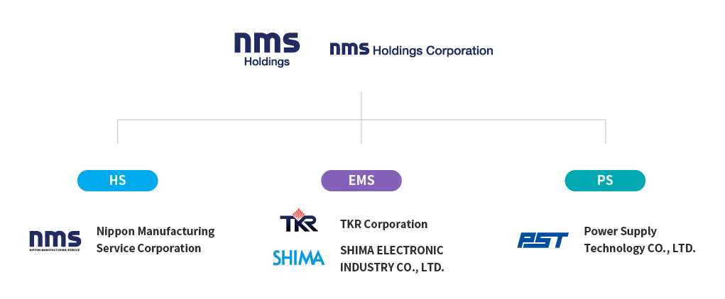 the structure of nms Holdings group's organization