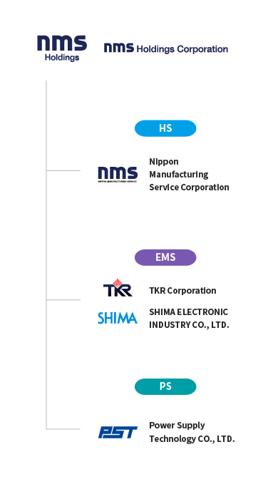 the structure of nms Holdings group's organization